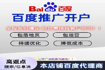 百度网络推广实战技巧：案例解析，让广告投放更精准